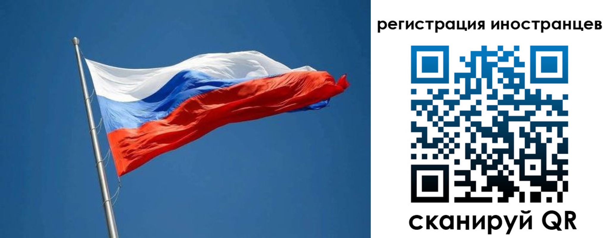 прописка в Ленинградской области